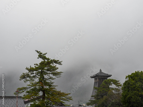 雨の中、兵庫県豊岡市の出石町、出石城址を歩く