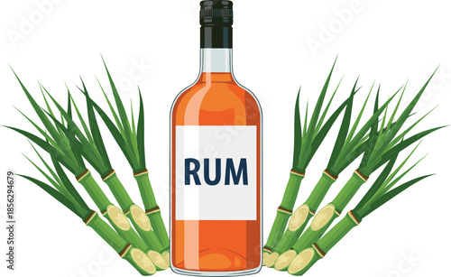 Realistic Rum Production Vector Illustration: Bottle of Dark Amber Spirit Centered Between Freshly Cut Stalks of Green Sugarcane, Highlighting the Caribbean Origin of the Liquor
