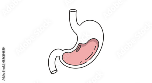 Conceptual Outline Illustration of Human Stomach with Acid Content, Representing Digestive System and Health