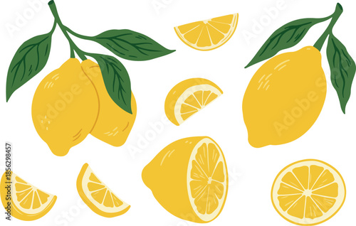 Vector illustration of lemons and lemon slices with green leaves isolated on