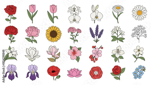 Colorful collection of various flowers