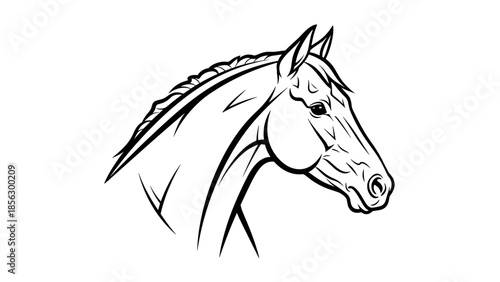 Black and White Horse Head Illustration.