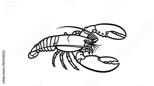 Black and White Illustration of Lobster.