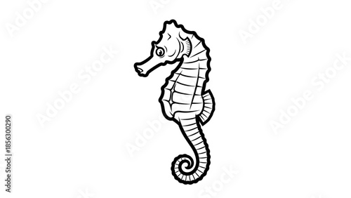 Black and White Seahorse Illustration.