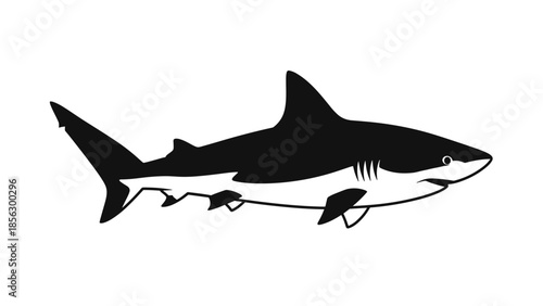 Black Silhouette of a Shark Swimming.