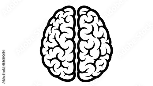 Human Brain Anatomy Illustration Simple Design.
