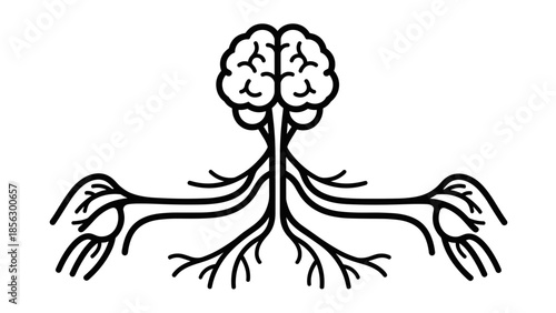 Human Brain and Nervous System Illustration.