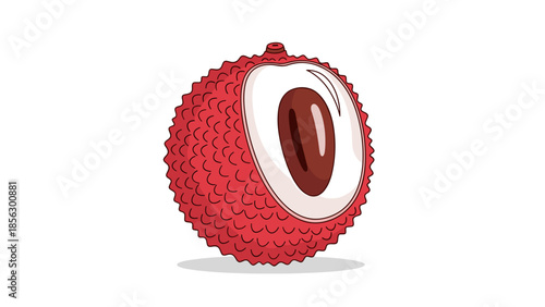 Rambutan Fruit Cut Open.