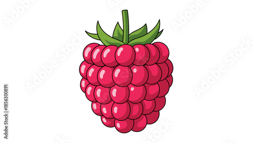 Raspberry Fruit Illustration with Green Leaves.