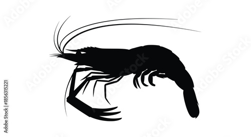 A simple black silhouette of a shrimp or prawn, showing its body, legs, and long antennae, isolated on a white background.