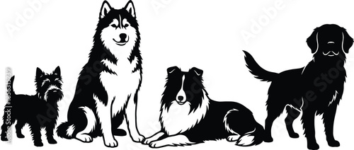 Dog breed silhouette illustration set, Scottish Terrier, Siberian Husky, Collie, Golden Retriever, varied poses, black outline, vector graphic