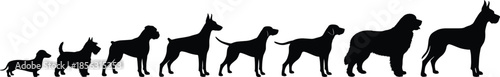Dog breed silhouette illustration, size progression, small to large, profile view, black outline, isolated, vector graphic