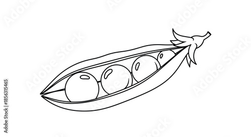 Simple black and white line art drawing of an open pea pod showing several round peas inside, isolated on a clean white background.