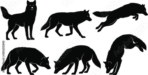 Wolf pack vector illustration featuring silhouettes of wild wolves in various poses like standing, walking, 