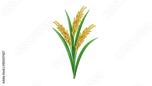 3D Rice plant illustration on transparent background
