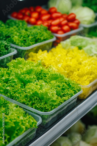 Wallpaper Mural Fresh assortment of colorful lettuce varieties in a grocery store display Torontodigital.ca