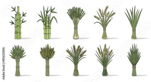 Collection of various green plant illustrations including bamboo, grass, and wheat bundles on a white background.