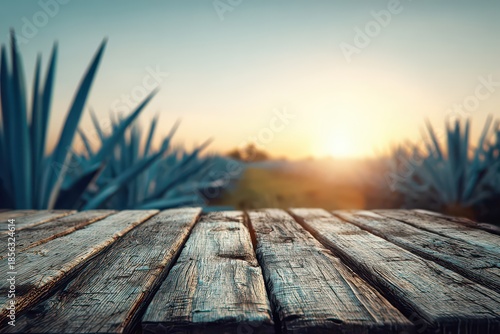 Rustic Wooden Planks in Blue Agave Field at Sunset with Golden Light