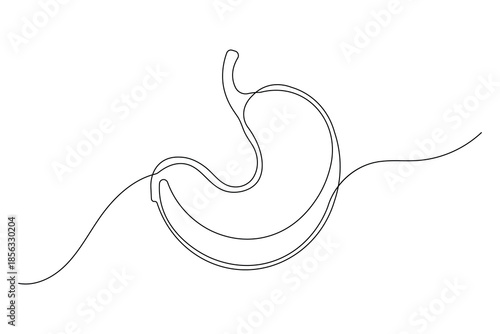 Clean simple stomach icon one line drawing with minimalist outline concept