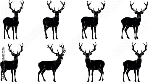 Majestic Male Deer Stag Buck Silhouette Set with Antlers in Various Standing Poses and Head Rotations for Hunting Club Logo.