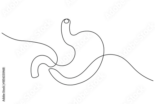 Continuous line art stomach symbol in simple modern minimalist outline style