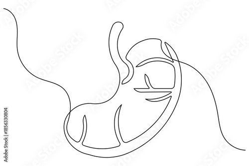 Minimal continuous line art of stomach icon with abstract outline illustration