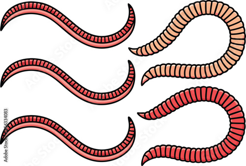 All Kinds of Worm Collection. Different Types of Worms Illustration. Soil and Parasitic Worms Set. Worm Species Variety Collection. Earthworm and Insect Worm Group. Worm Types Educational Illustration