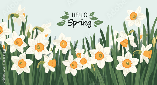 Hello Spring floral banner with a beautiful field of white and yellow narcissus flowers and lush green stems against a light blue sky.
