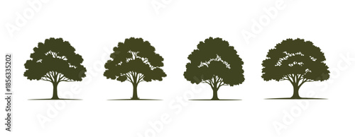 Four stylized green deciduous trees with brown trunks and shadows, arranged in a row on a white background, representing nature and growth.