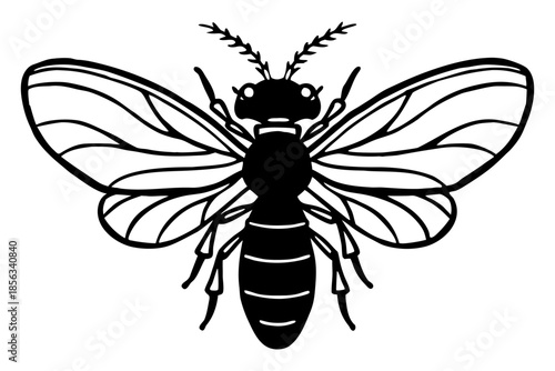 Minimalist Black and White Bee Vector Illustration