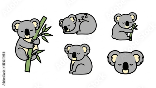 Cartoon koalas sleeping and eating eucalyptus leaves in various poses on white background