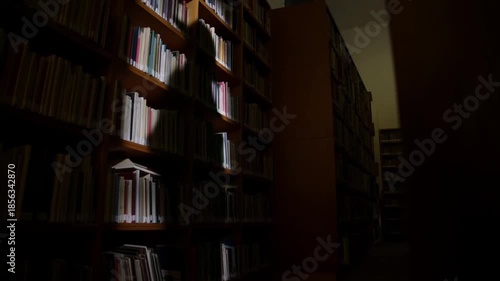 Narrow library aisle showing a distorted elongated shadow of a figure with a hat cast on a bookshelf wall by an unseen light source, chiaroscuro lighting, sense of being watched atmosphere