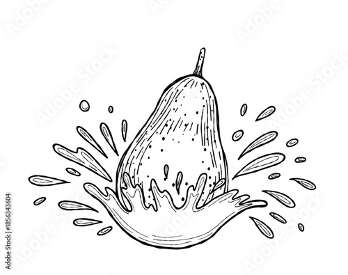 Vector illustration of a hand-drawn pear splashing into water, with expressive ink lines and artistic droplets. Ideal for coloring books, packaging, posters, prints, and organic product labels
