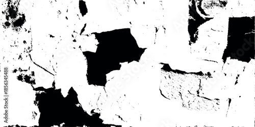 Abstract black and white image displaying distorted shapes and textures resembling fragmented forms and potential facial features