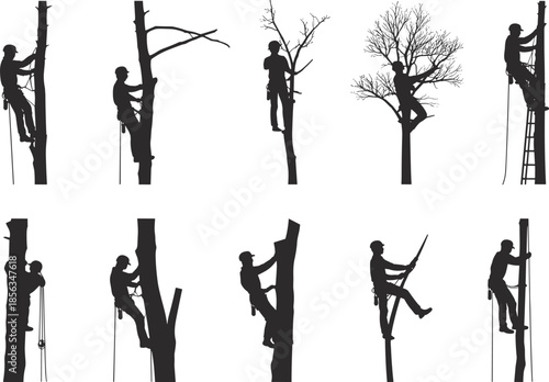 Ten arborist silhouettes climbing and working on trees with ropes, ladders, harnesses, diverse postures, forestry safety illustration design imagery
