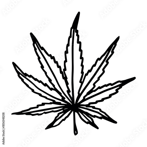 Hand drawn cannabis leaf Medicine marijuana Hemp leaves clipart in doodle style Single element for print, web, design, decor