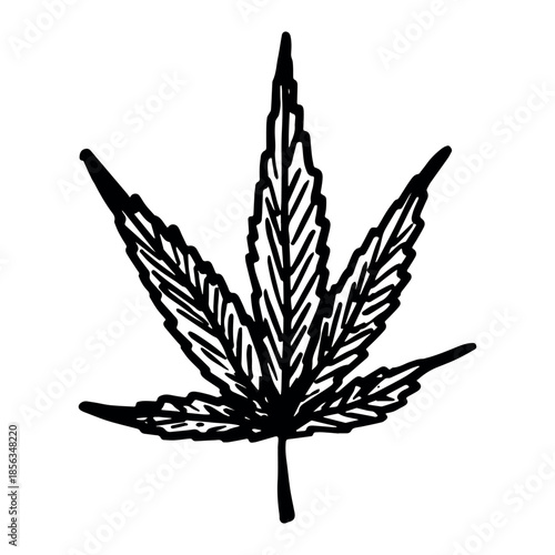 Hand drawn cannabis leaf Medicine marijuana Hemp leaves clipart in doodle style Single element for print, web, design, decor