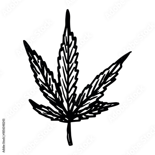 Hand drawn cannabis leaf Medicine marijuana Hemp leaves clipart in doodle style Single element for print, web, design, decor