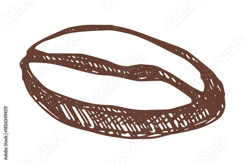 Hand drawn fresh roasted coffee bean Arabica robusta seed doodle Single element for print, web, design, decor