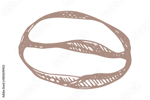 Hand drawn fresh roasted coffee bean Arabica robusta seed doodle Single element for print, web, design, decor