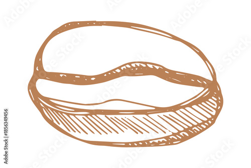 Hand drawn fresh roasted coffee bean Arabica robusta seed doodle Single element for print, web, design, decor