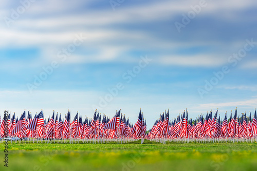 field of american flags on horizon with soft blue sky