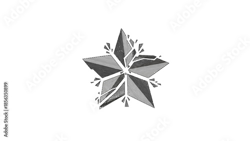 Stylized gray star with jagged, ice-like edges on a white background, representing winter or frozen themes.