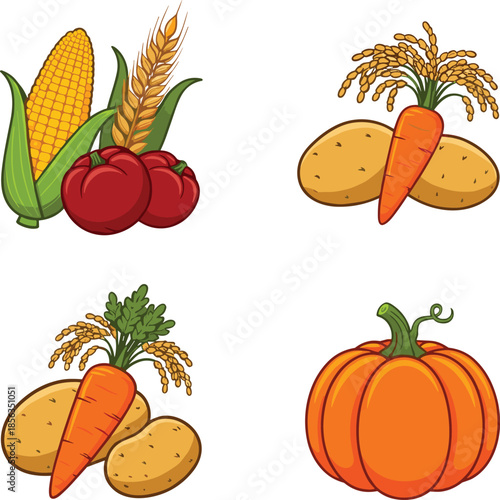 Harvest vegetables and grains collection with corn, apples, potatoes, carrot, rice, pumpkin, wheat for autumn farming and agriculture design