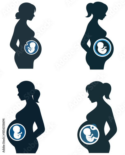 Pregnancy stages silhouette showing maternal health and baby growth
