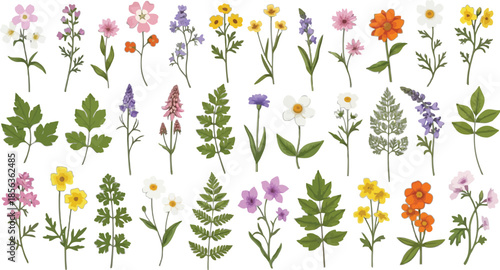 Vibrant wildflowers and leaves on black background for design