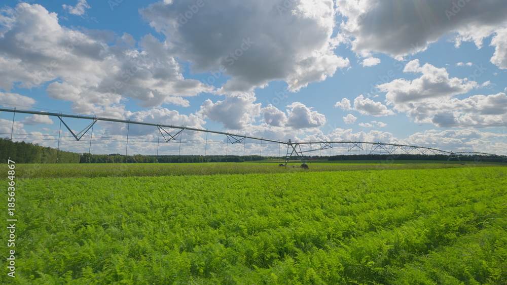 Fototapeta premium A Beautiful Vibrant Irrigated Farm Landscape Beneath a Blue Sky with Fluffy White Clouds