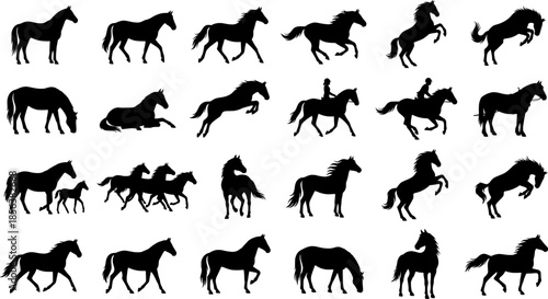 Comprehensive vector collection of black horse silhouettes featuring various poses including running, jumping, rearing, and grazing for equestrian branding, sports logos, farm mascots, and elegant ani