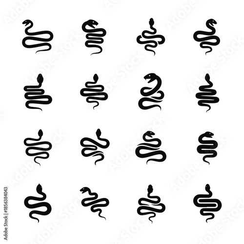 Collection of snakes coiled and posed in various positions against a white backdrop, showcasing their serpentine forms with sleek elegance.