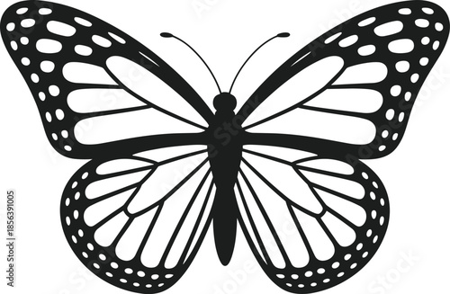Black butterfly silhouette with white spots and wing veins on a white background insect